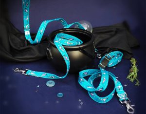 A la hora de escoger una correa para galgos, ten en cuenta el temperamento de tu mascota y la longitud del accesorio