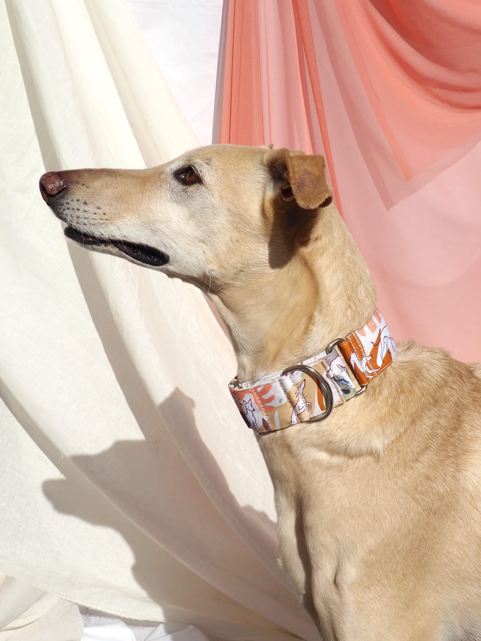 Collar martingale Natural Matisse - Imagen 6