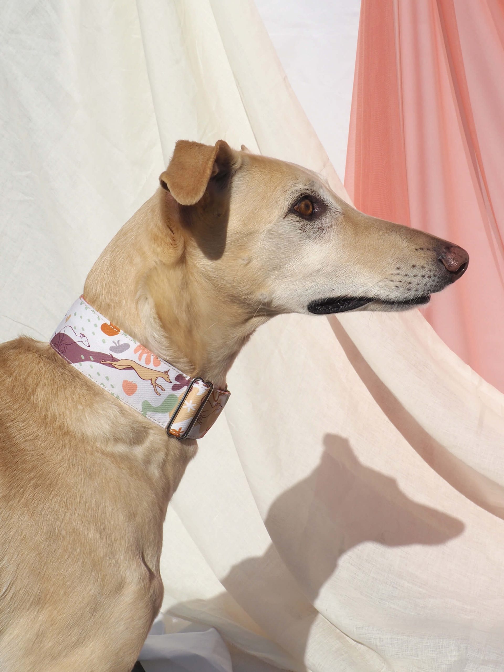 Collar martingale Natural Matisse - Imagen 3