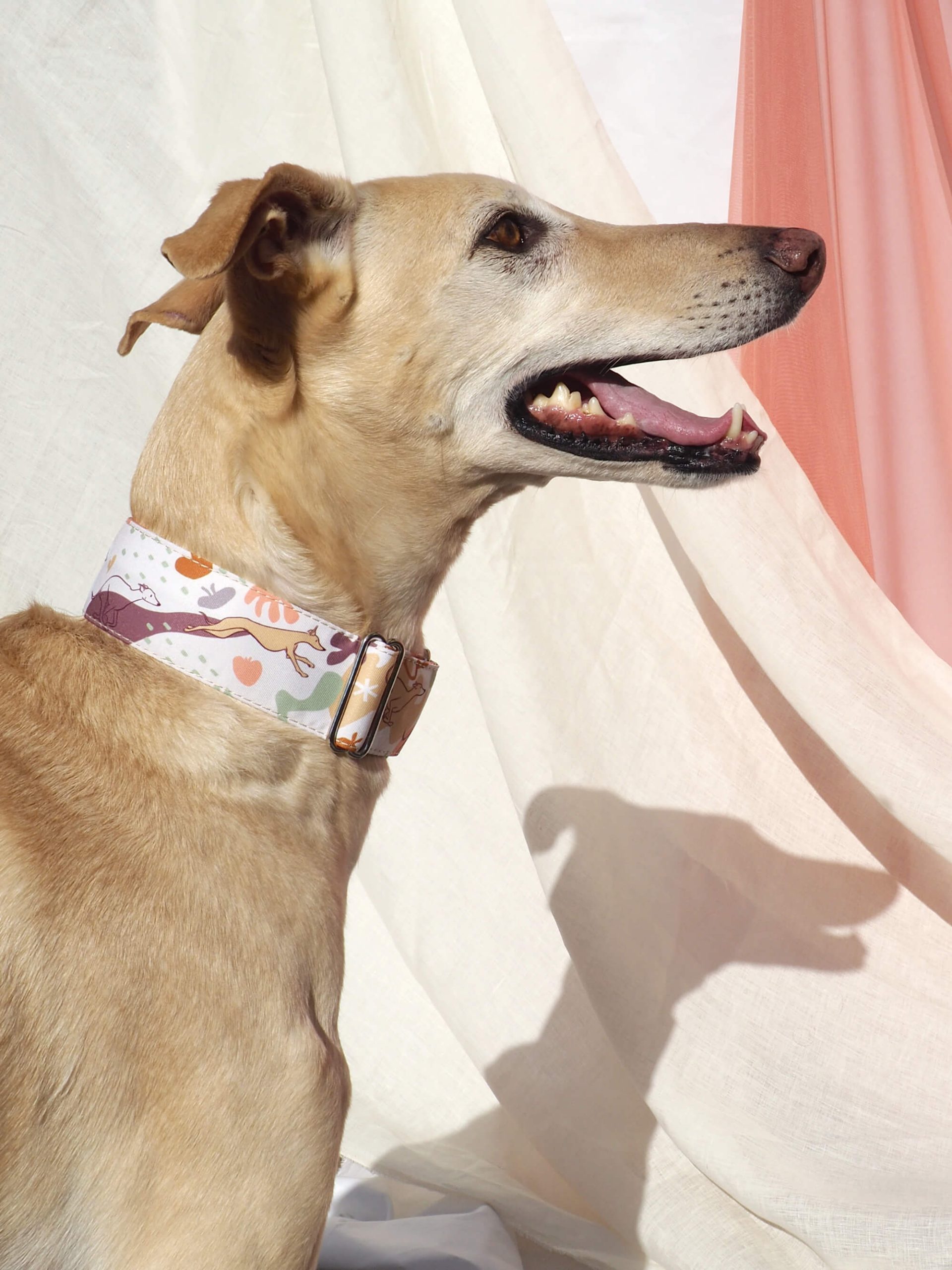 Collar martingale Natural Matisse - Imagen 8