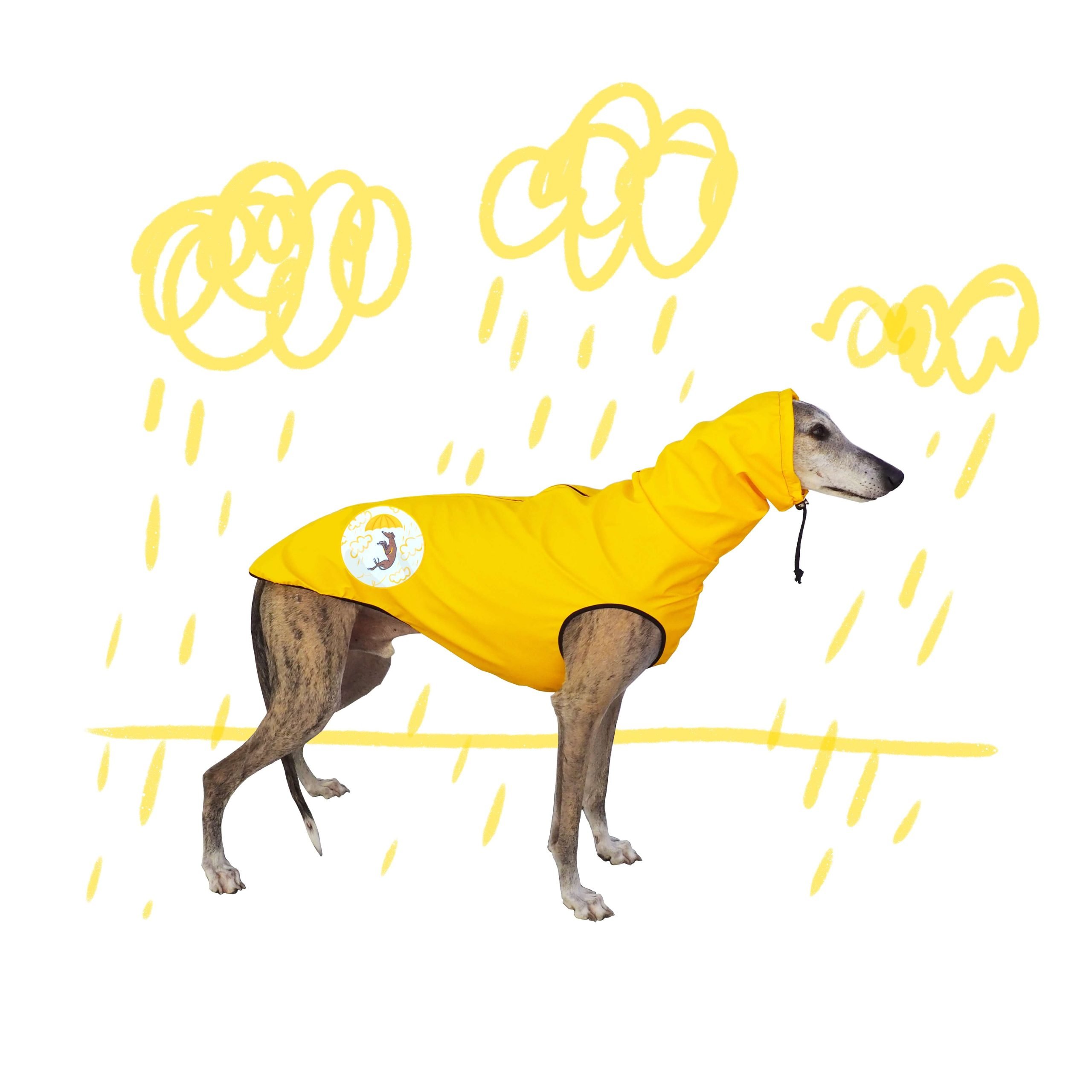 Chubasquero amarillo - immagine 3