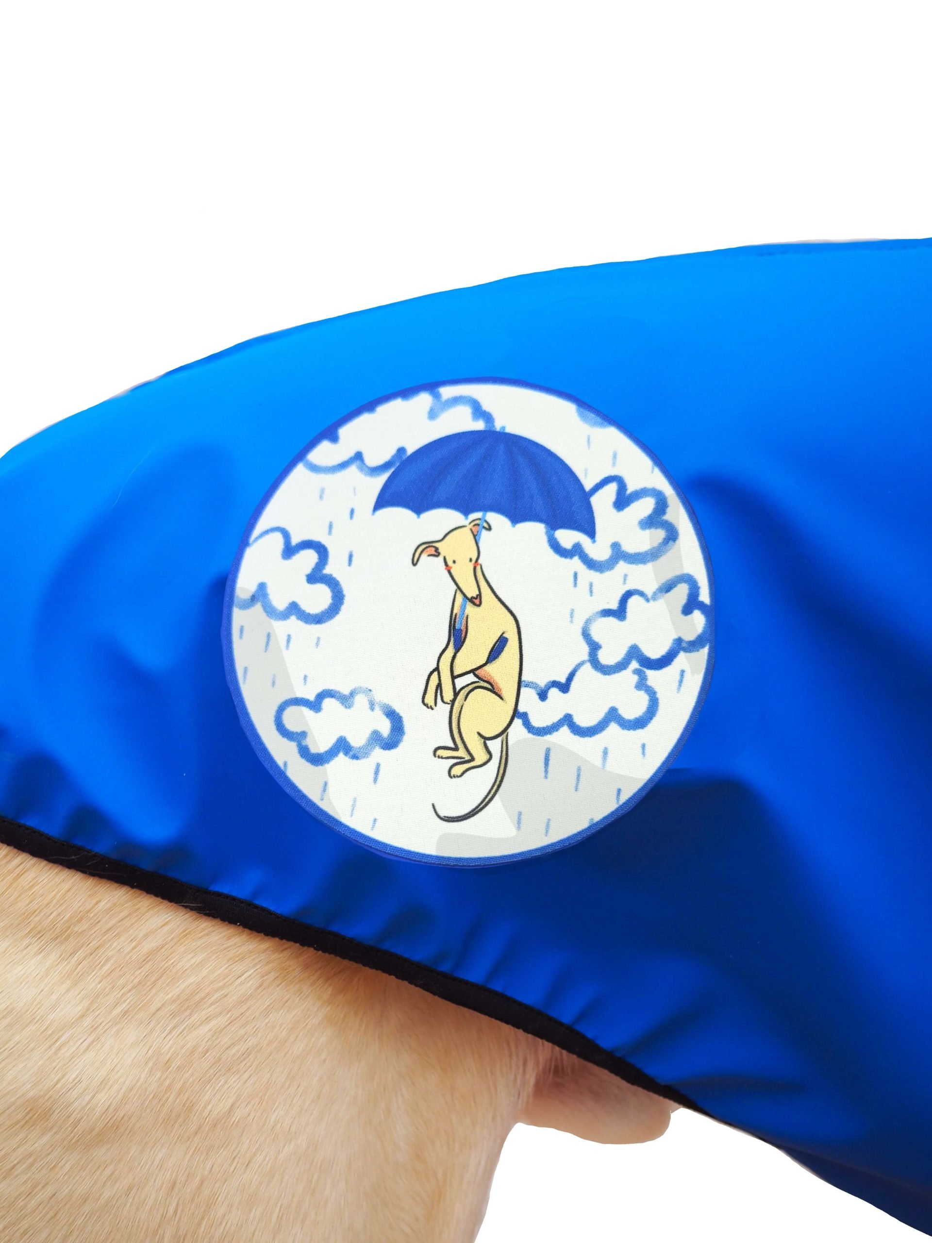 Chubasquero azul - Imagen 3