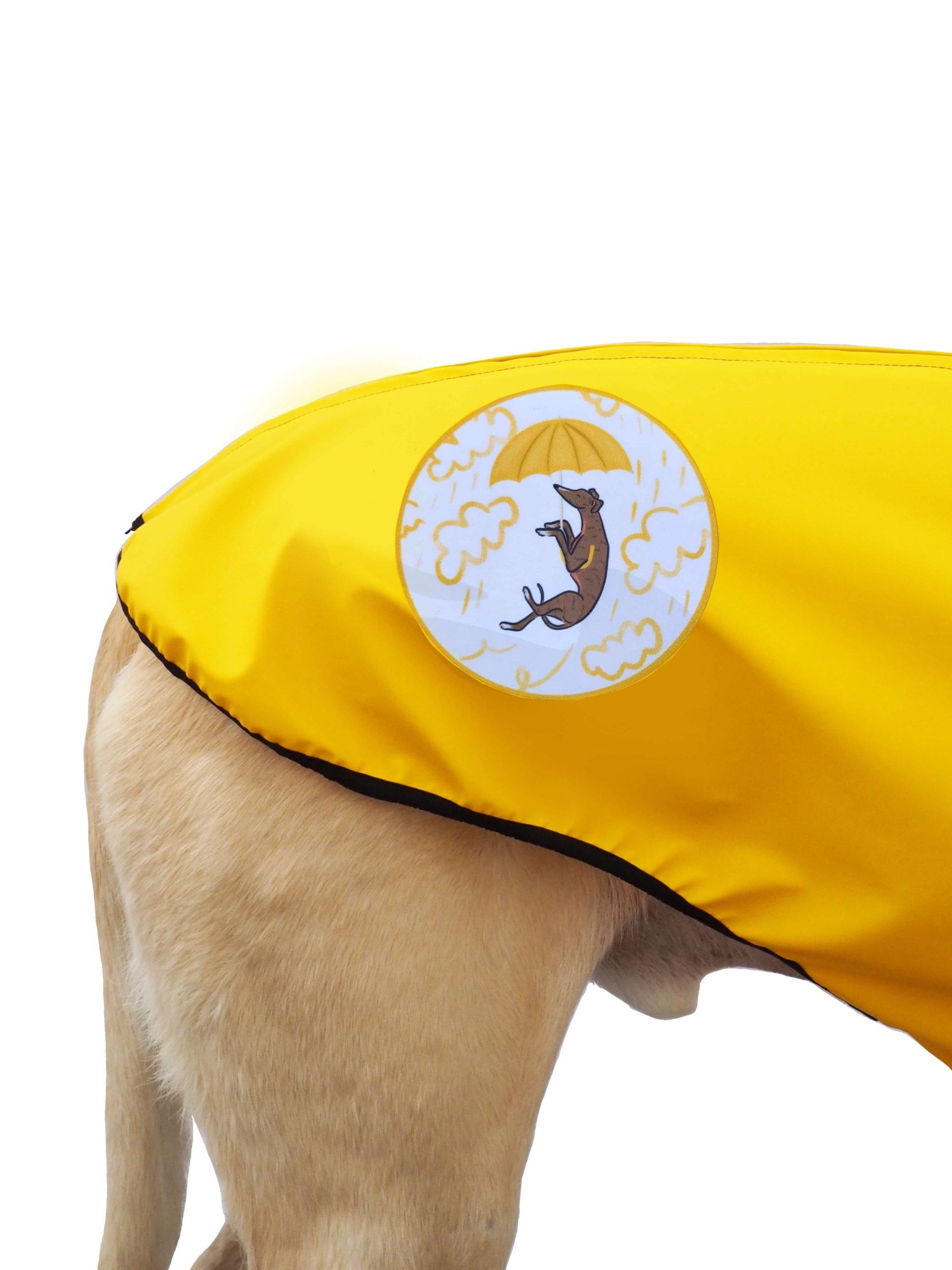 Chubasquero amarillo - immagine 4