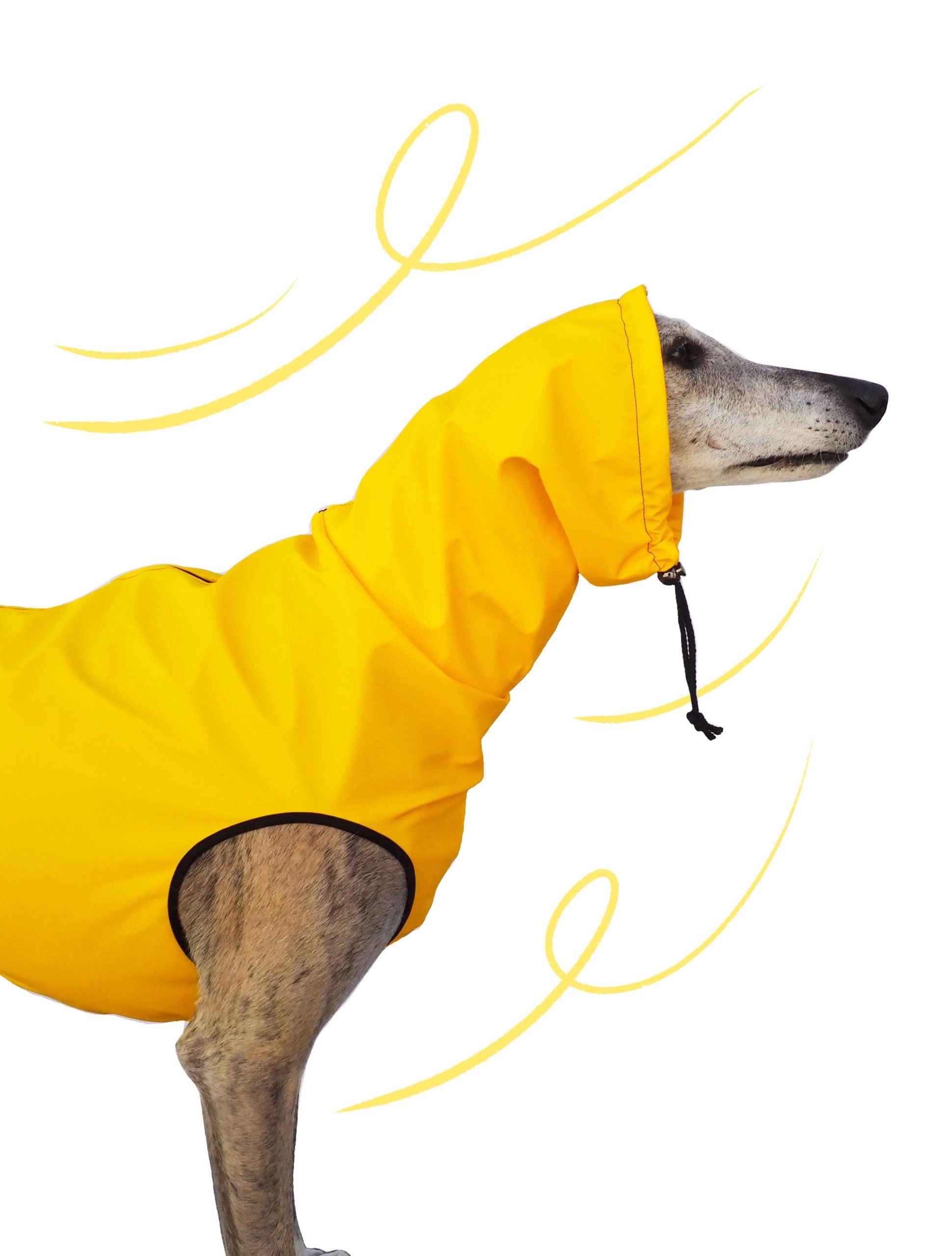 Chubasquero amarillo - immagine 2