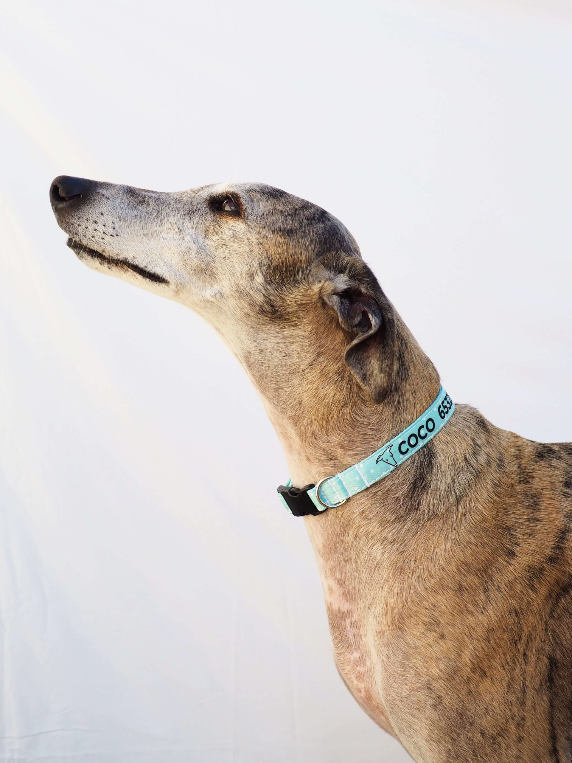 Collar personalizado mint - Imagen 2