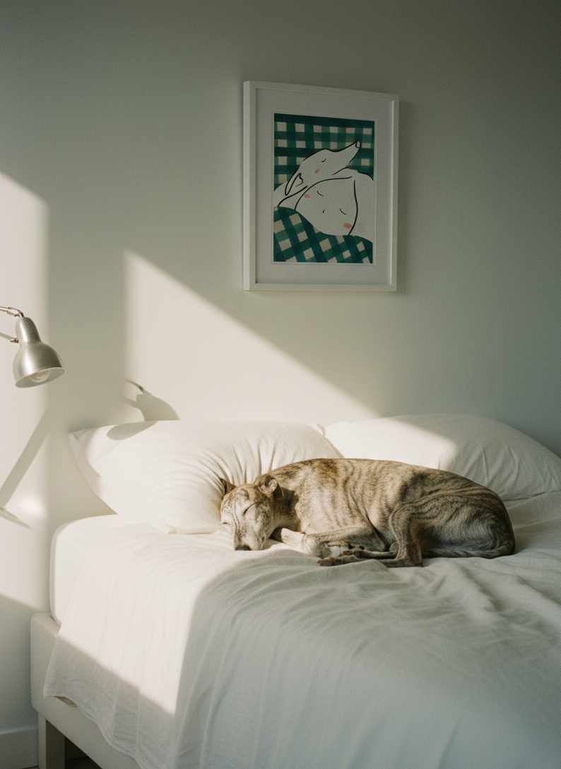 Dogmorning - Imagen 8