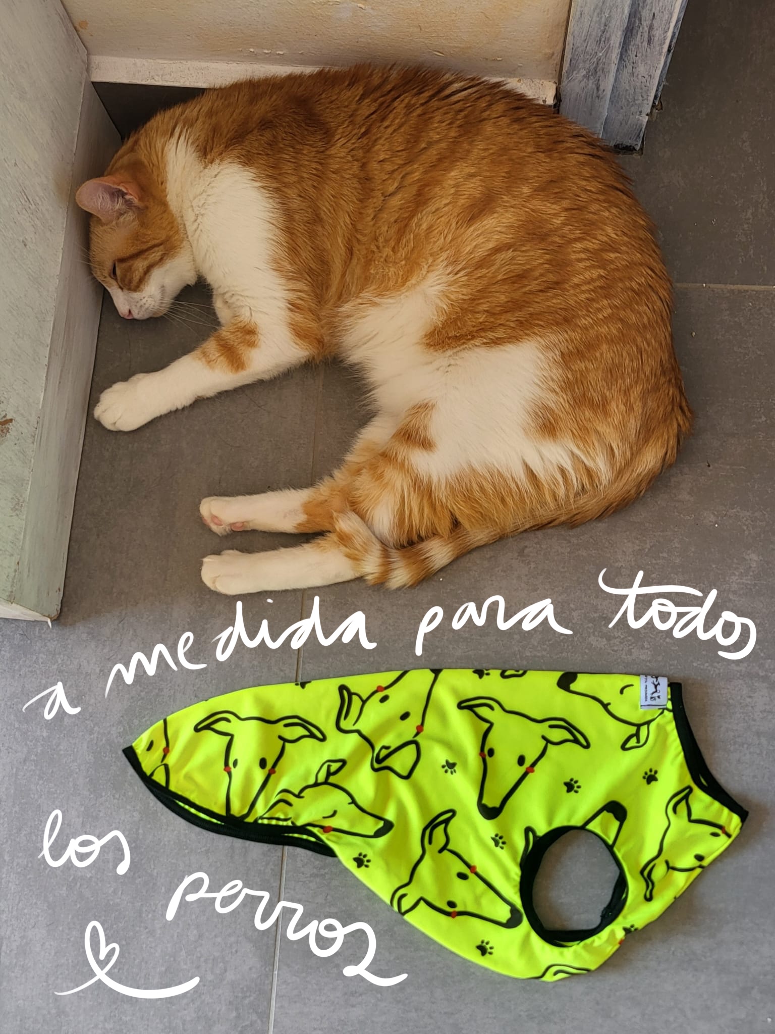 Peto flúor naranja - Image 4