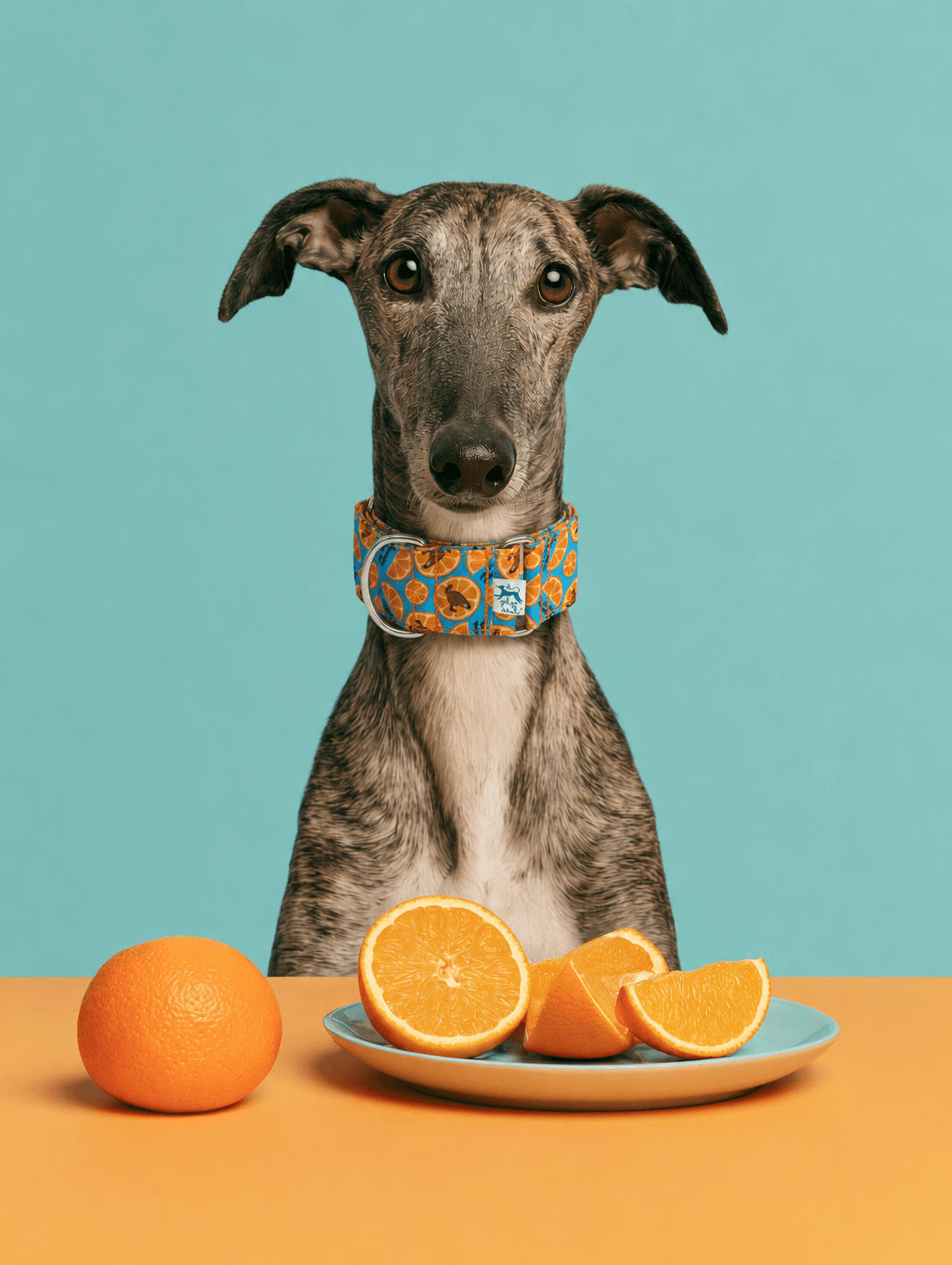 Collar martingale Media naranja - Imagen 2