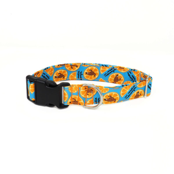 Click Media naranja